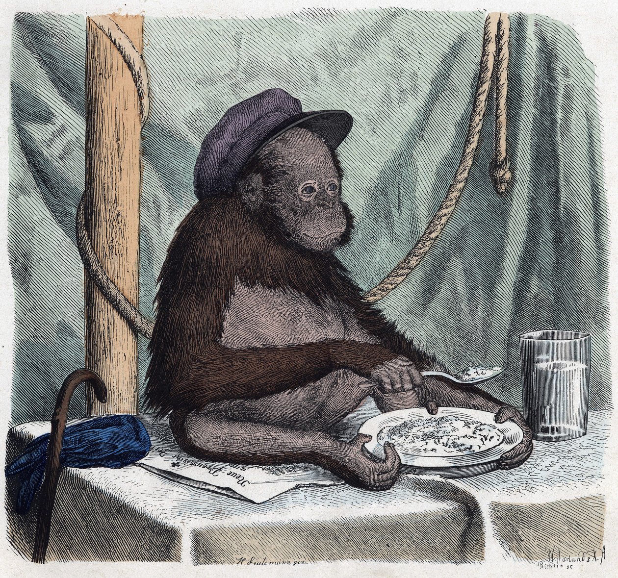 Egy művelt orangután (orangután, orangután, orangután) rizst eszik kanállal. A Amikor valaki utazik, ezt tudja elmondani, Franz Wiedemann német meséje alkotó: German School