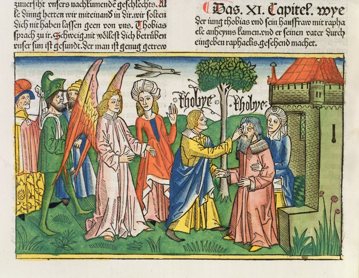 Apokrif: Tóbiás egy hal epével visszaadja apjának, Tobitsnak a látását, a Nürnbergi Bibliából (Biblia Sacra Germanaica) (színes fametszet) alkotó: German School
