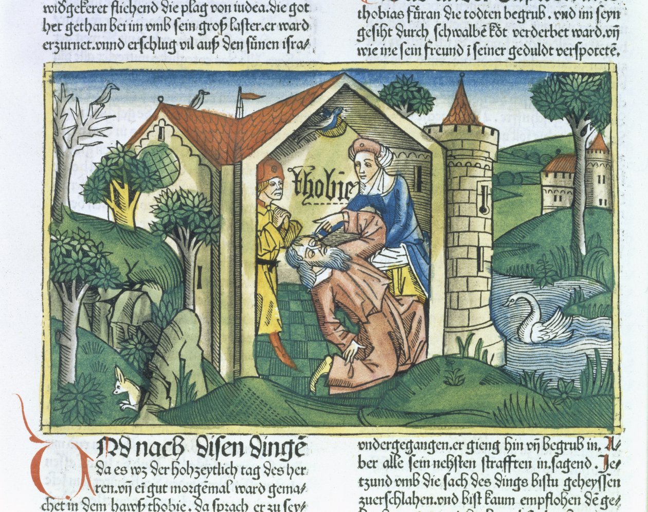 Apokrif: Tobit megvakítja a verebek ürüléke, a nürnbergi Bibliából (Biblia Sacra Germanaica) (színes fametszet) alkotó: German School