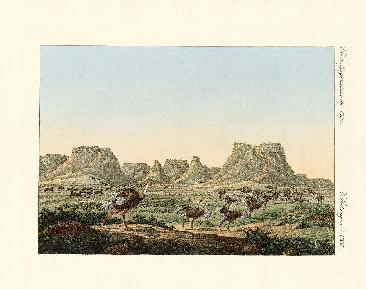 Terület Dél-Afrikában, a Jóreménység előterében alkotó: German School