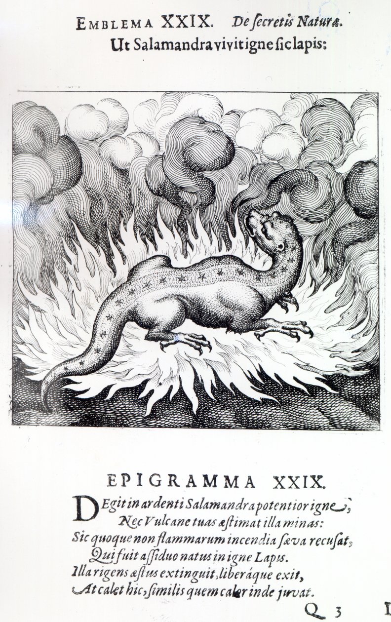 Ahogy a Szalamandra a tűzben él, úgy a kő is, Michael Maier Atalanta fugiens XXIX. jelképe, 1617 alkotó: German School