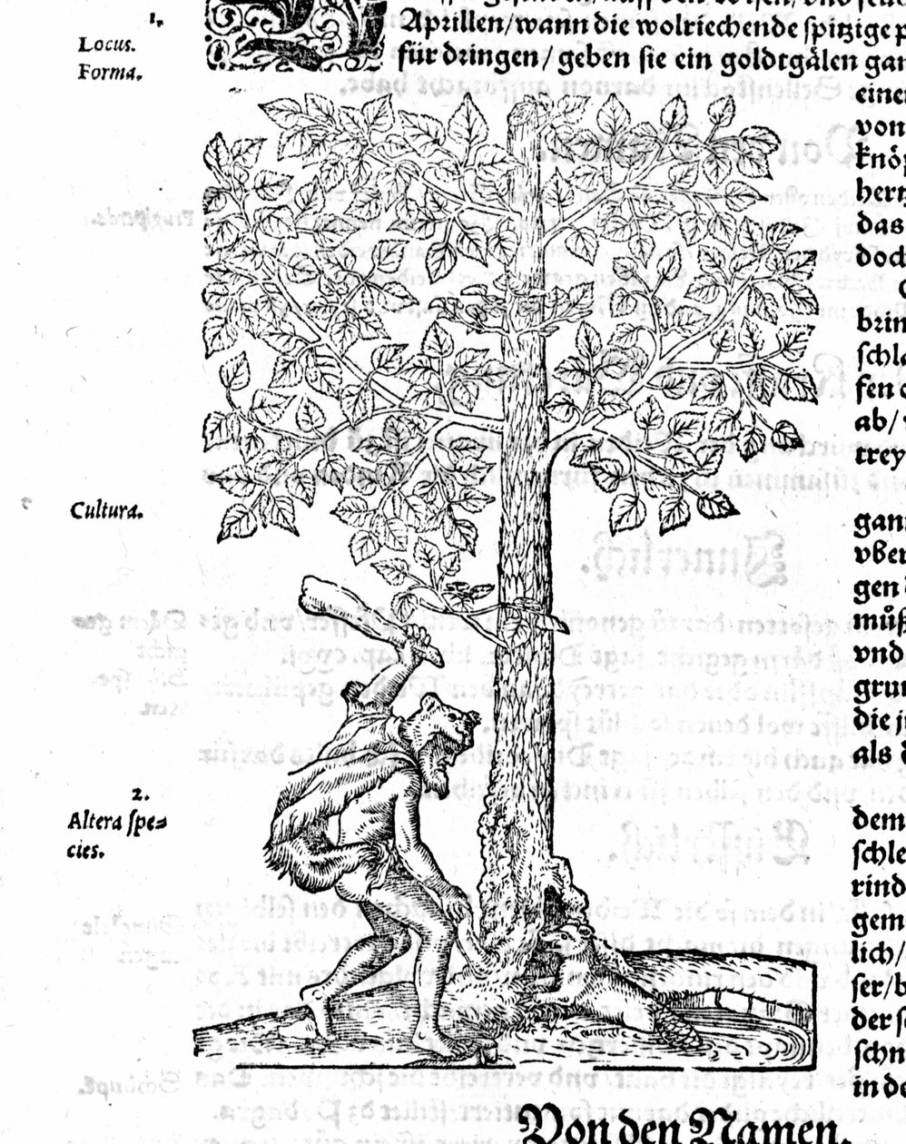 Beaver Hunt – Jerome Bock „A rasszizmus” című filmjében. 1572 alkotó: German School