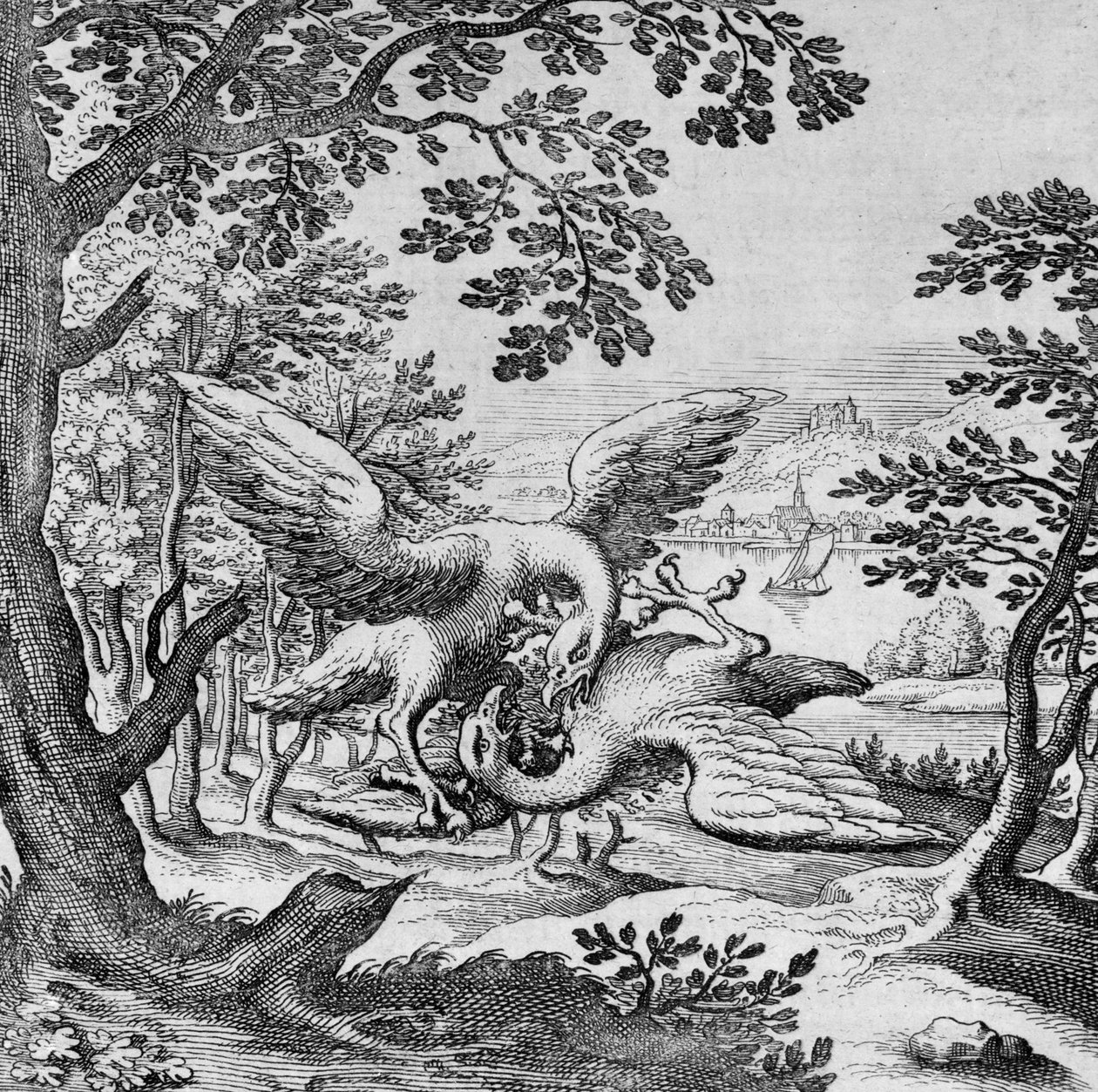 A Musaeum Hermeticumból harcoló madarak alkotó: German School