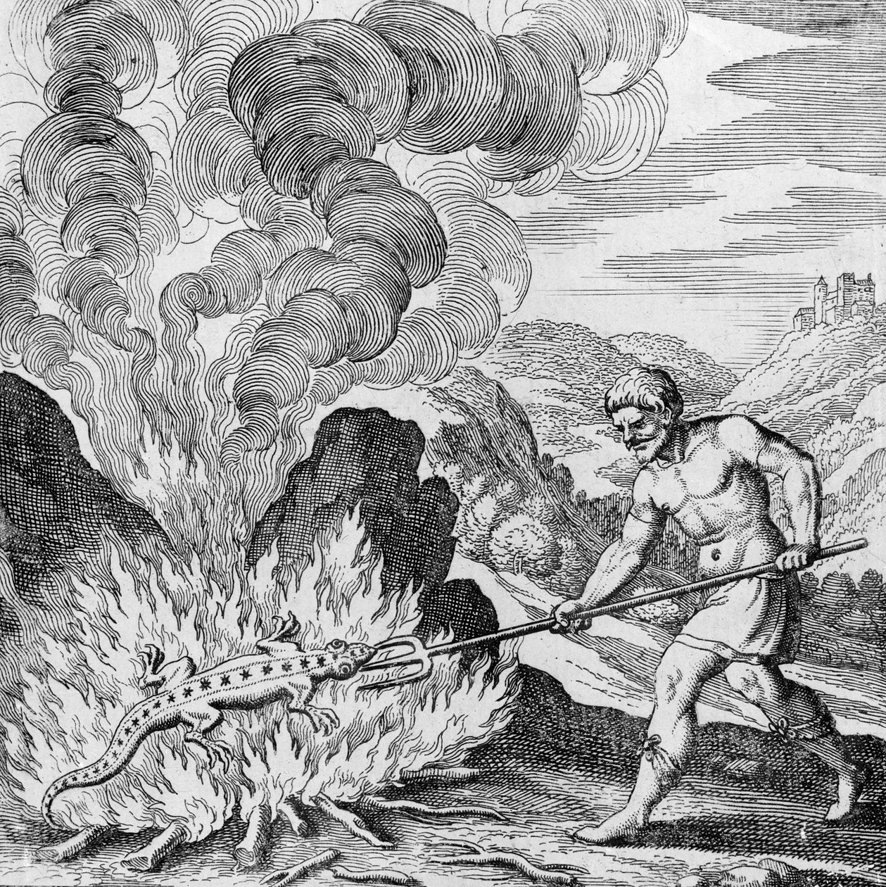 Szalamandra égetése a Musaeum Hermeticumból alkotó: German School