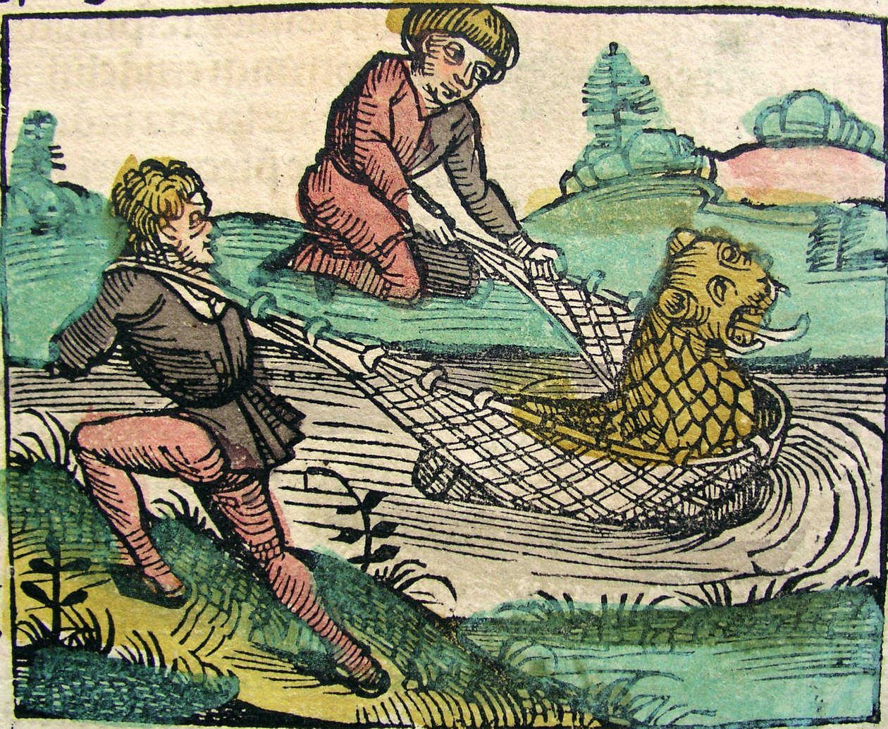 Oroszlán fogása, macska halszörny, megjelent a Nürnbergi Krónikában, 1493 alkotó: German School