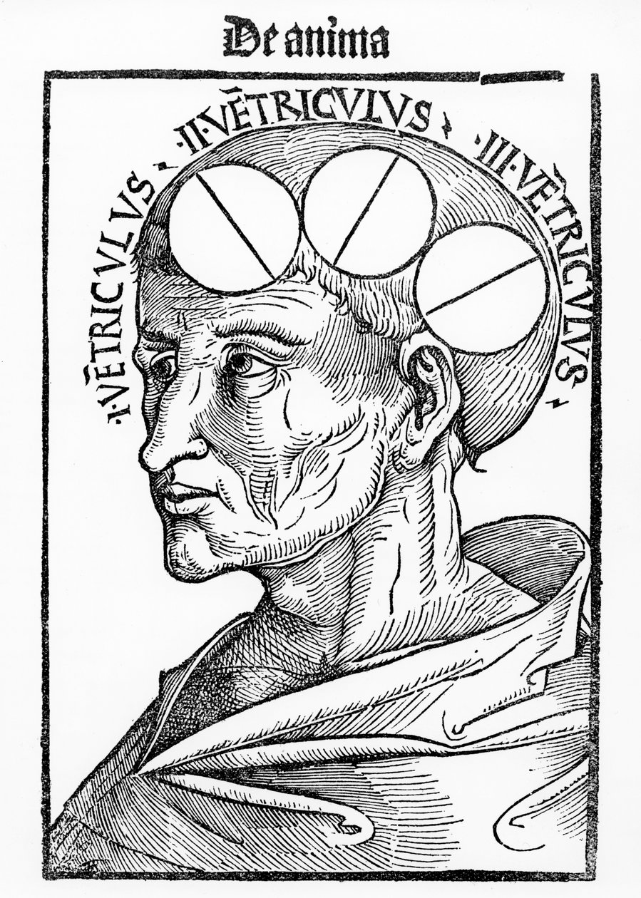 Az agy üregei Albertus Magnustól, a Philosophia Naturalisból, Bázelben, 1506 alkotó: German School