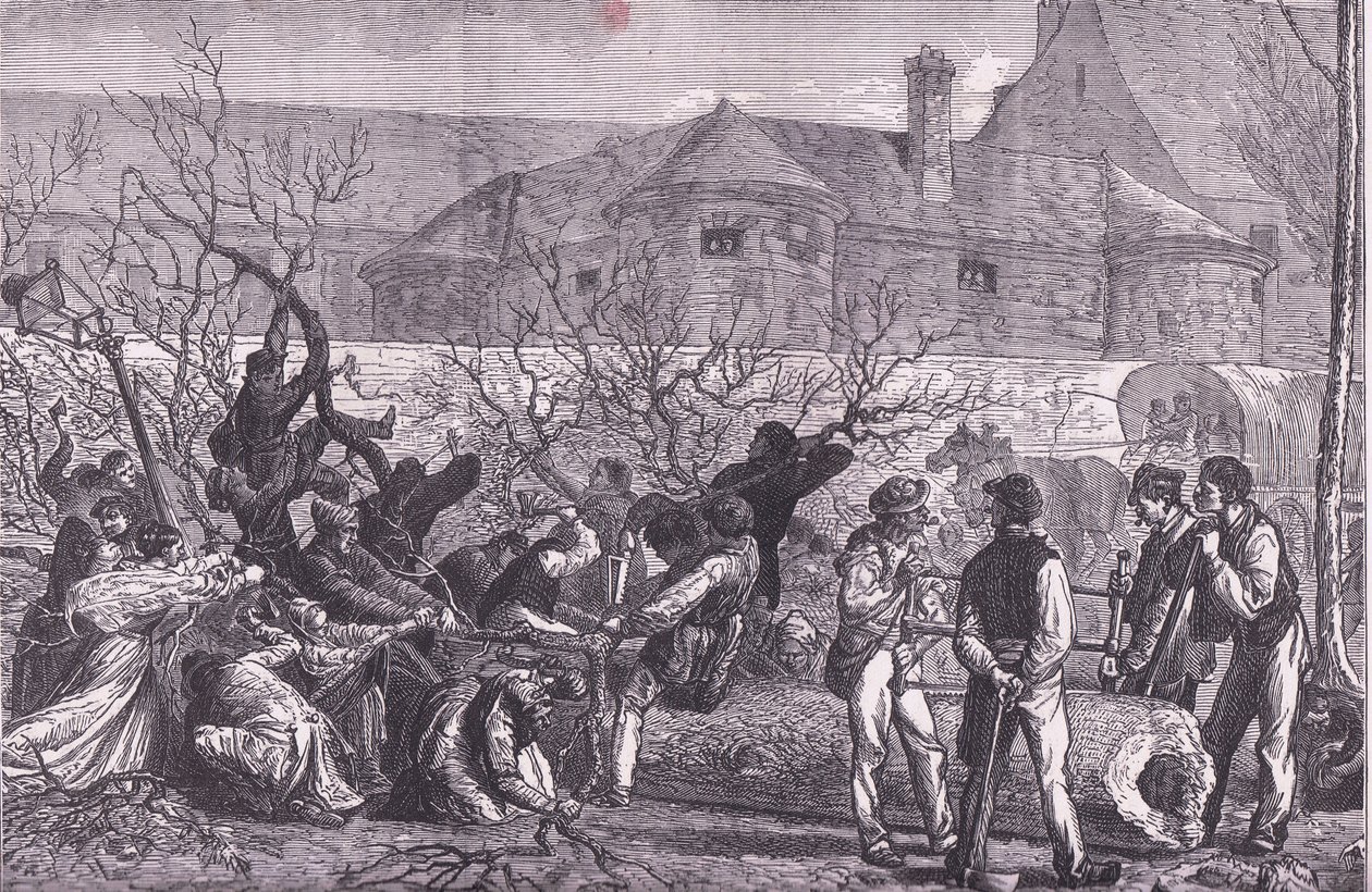 Fák kivágása Párizs körül tűzifa céljából, Cassells History of the War Franciaország és Németország között, kiadó: Cassell and Company Limited, 1890 körül (litho) alkotó: German School
