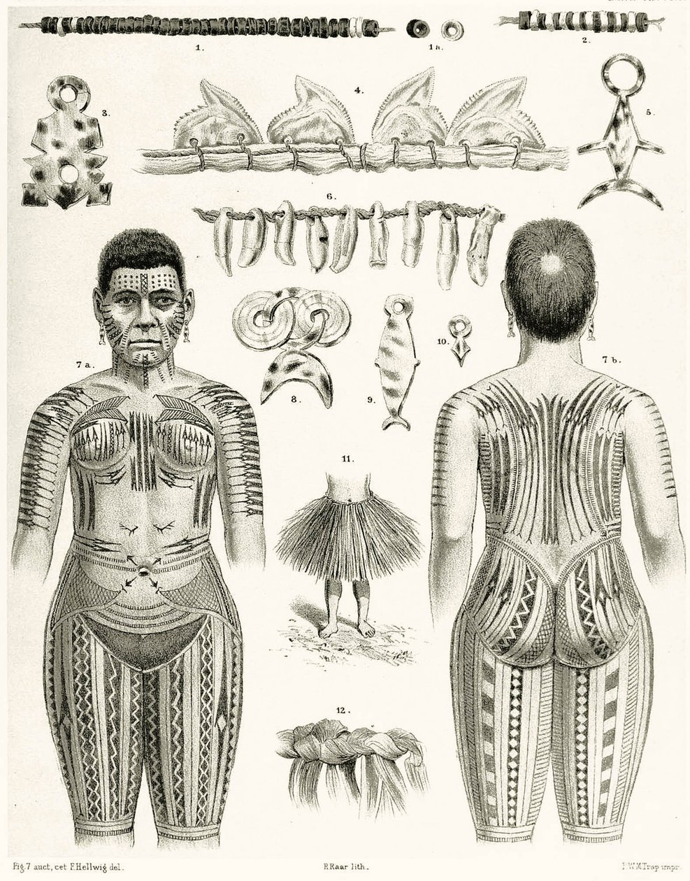 Polinéz ékszereket, dísztárgyakat és tetoválási mintákat ábrázoló diagram, 1888 alkotó: German School