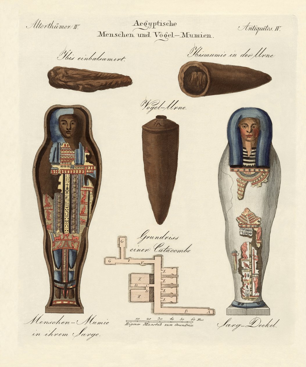 Egyiptomi múmiák alkotó: German School