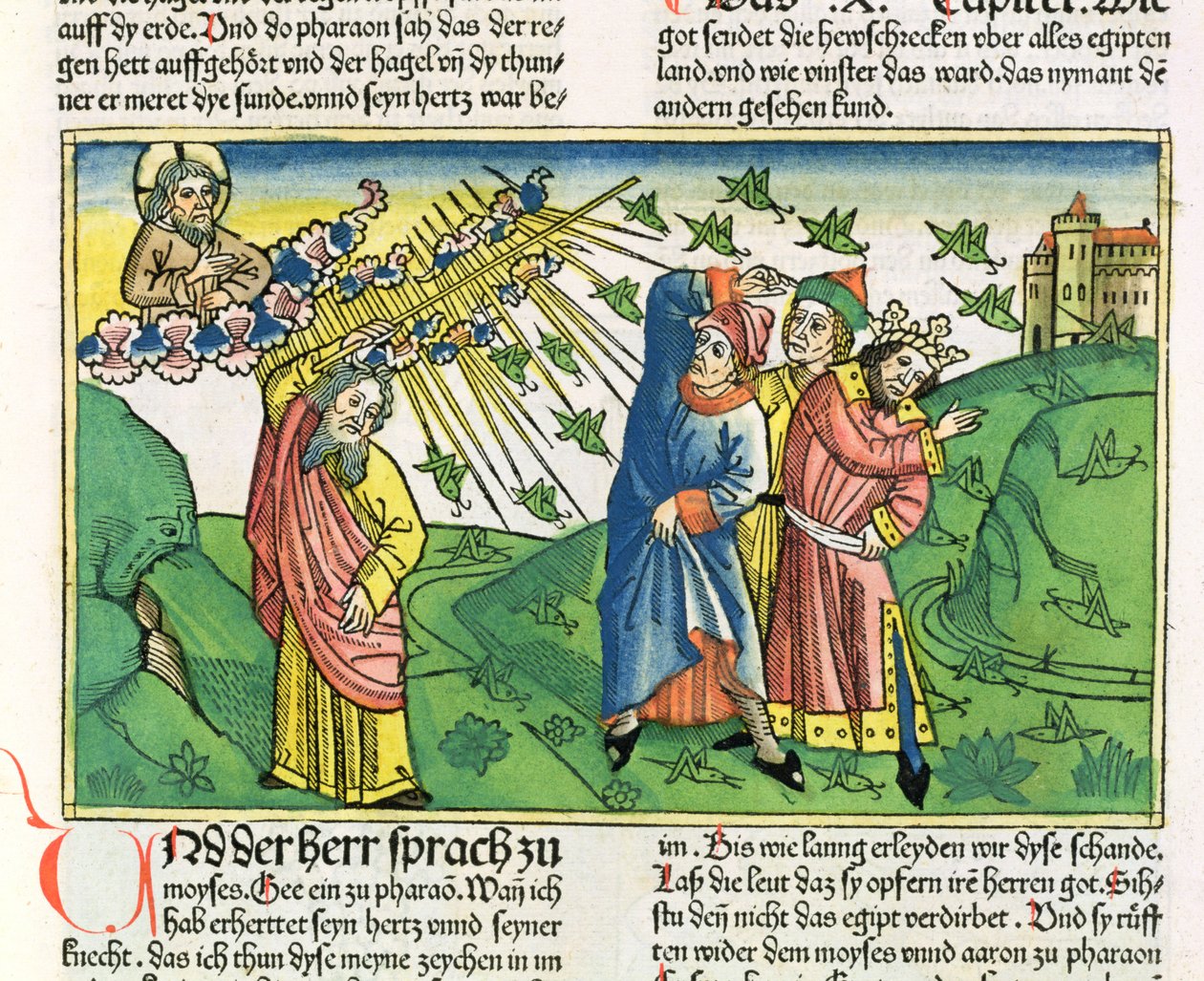 2Móz 10:1-20 Egyiptom hét csapása: a sáskák csapása, a Nürnbergi Bibliából (Biblia Sacra Germanaica) (színes fametszet) alkotó: German School