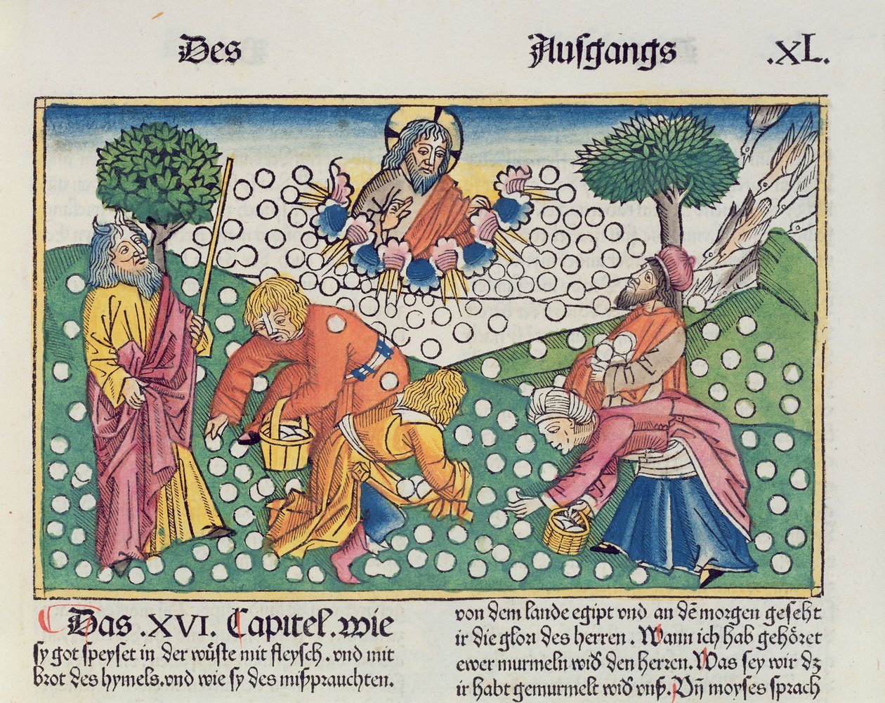 2Móz 16 13-22 Isten fürjekkel és mannával látja el az izraelitákat, a nürnbergi Bibliából (Biblia Sacra Germanaica) (színes fametszet) alkotó: German School