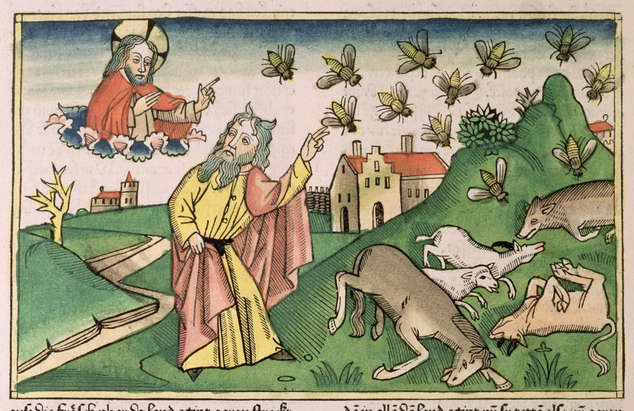 2Móz 8 20-32 Egyiptom hét csapása: Mózes és a legyek raj a „Nürnbergi Bibliából (Biblia Sacra Germanaica)” (színes fametszet) alkotó: German School