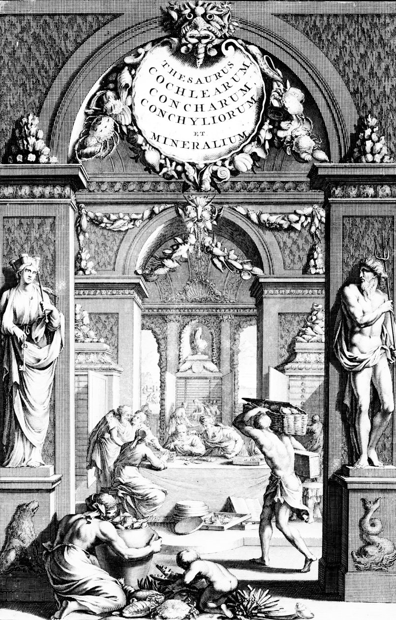 Georg Eberhard Rumphius 1739-ben megjelent kiadásának előlapja a tezauruszhoz. alkotó: German School