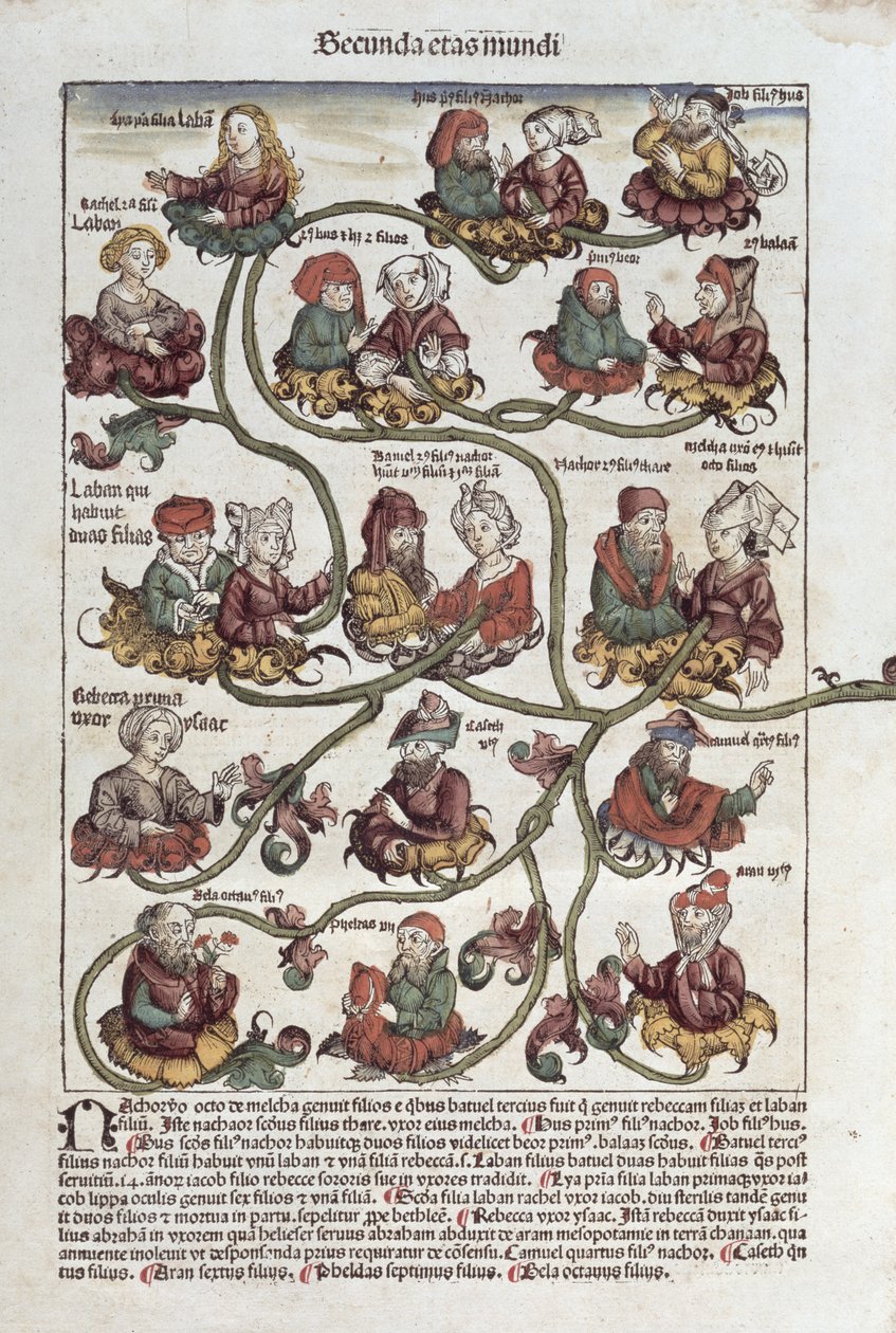 Lábán genealógiai fája, Hartmann Schedel (1440-1514) „Liber Chronicarum” című művéből, 1493 (színes fametszet) alkotó: German School