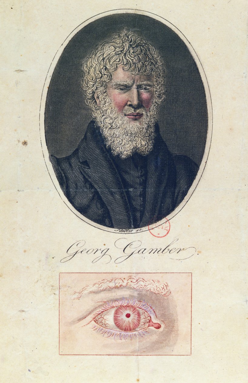 Georg Gamber, albínó alkotó: German School