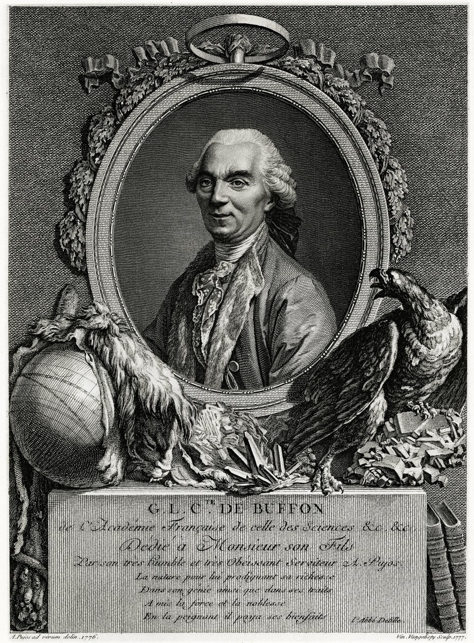 George Louis Leclerc Buffon grófja alkotó: German School