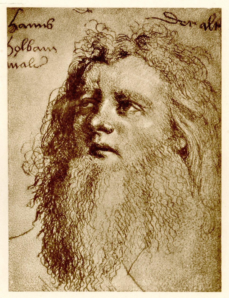 Idősebb Hans Holbein, 1884-90 (fénykép) alkotó: German School