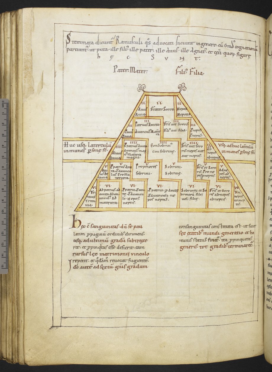 Harley MS 2660 f.91v „Etymologiae and De natura rerum”, Sevillai Isidore alkotó: German School