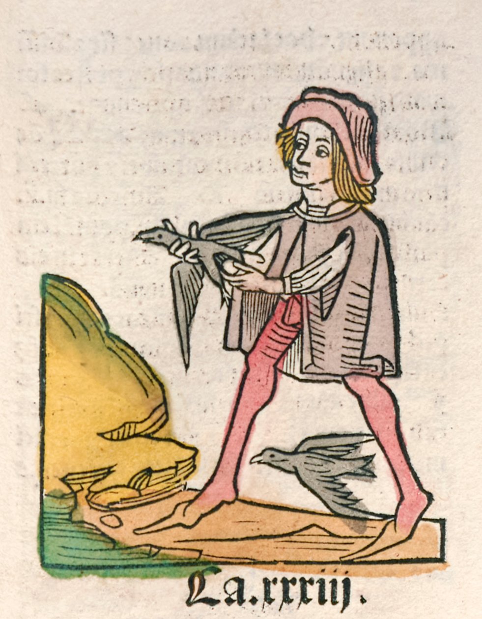 Jacob Meydenbach Hortus Sanitatis [Az egészség kertje] 1491-ben jelent meg (fametszet) alkotó: German School
