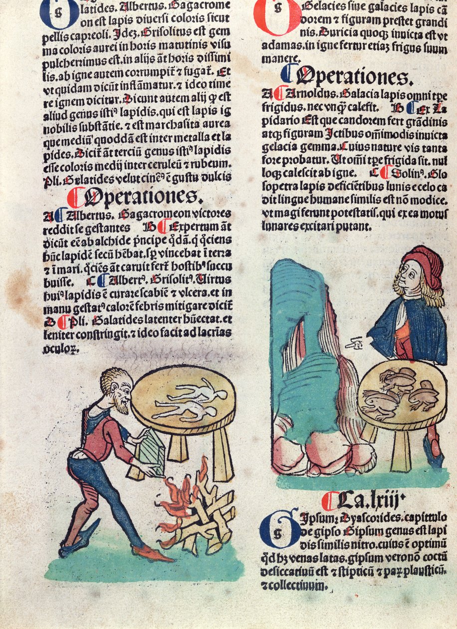 Illusztrált oldal a Hortus Sanitatisból, 1491 (színes fametszet) alkotó: German School