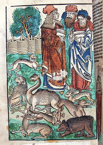 Illustration from Hortus Sanitatis alkotó: German School