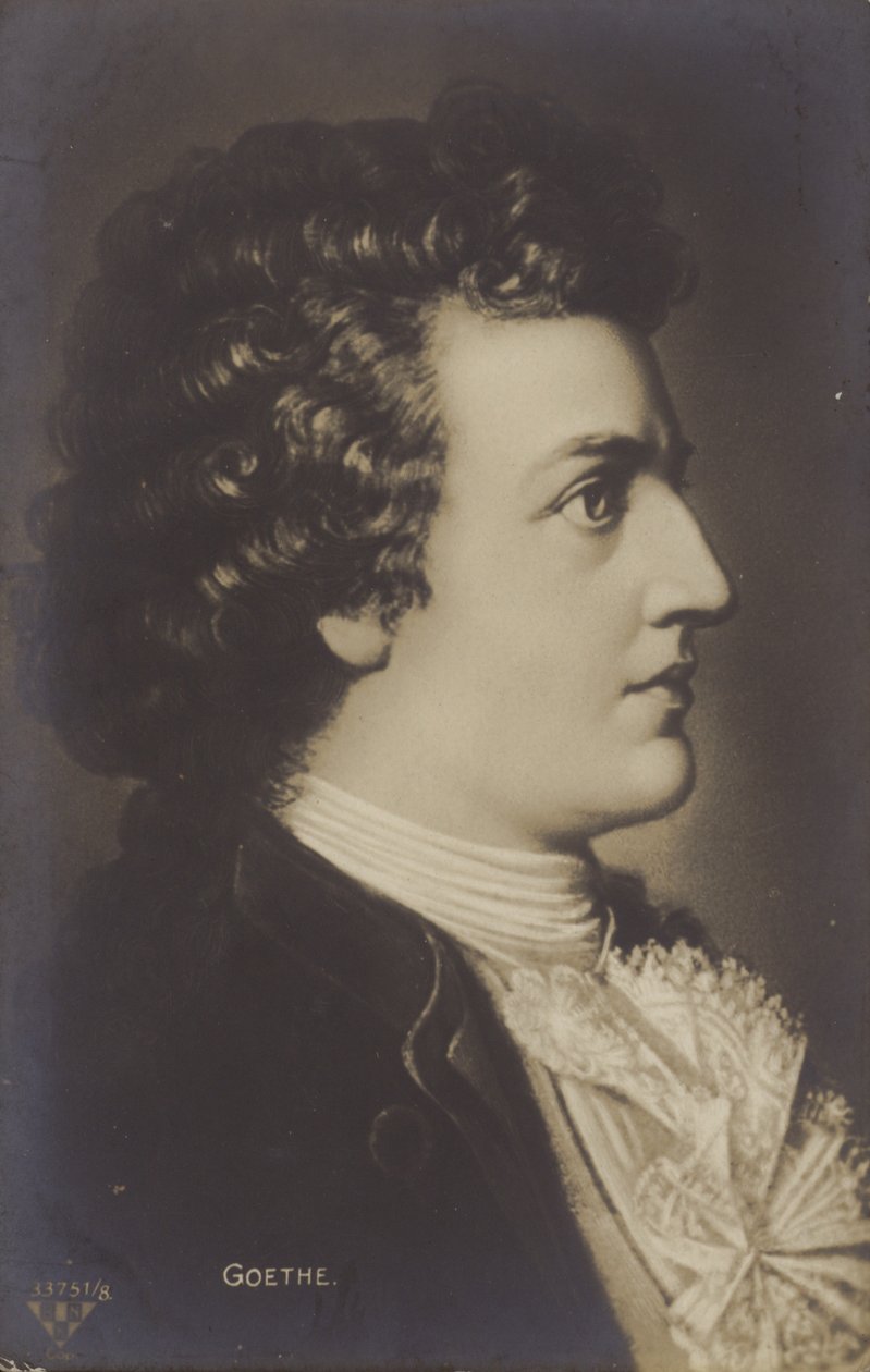 Johann Wolfgang von Goethe (1749-1832), német költő, regényíró és drámaíró (litho) alkotó: German School
