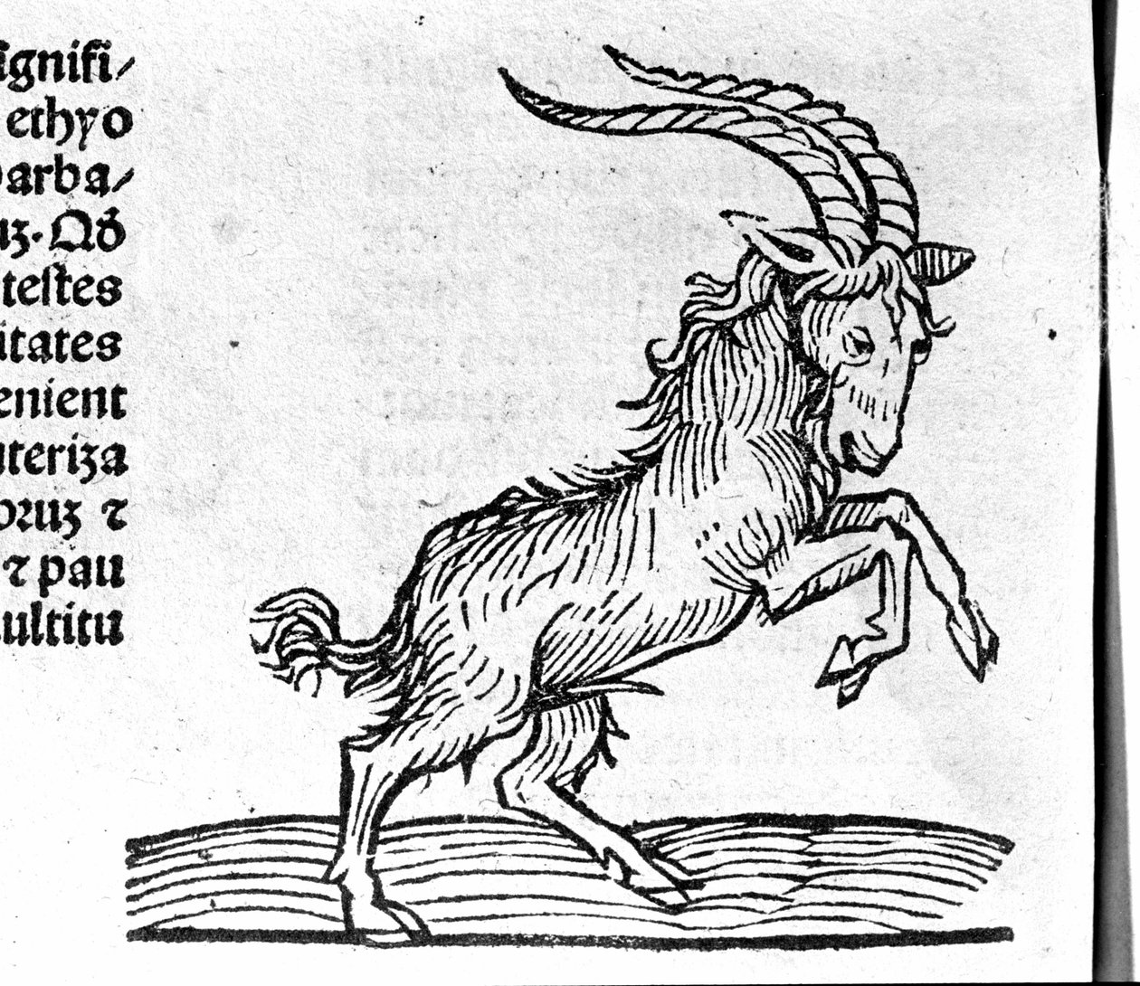 Le Capricorn – John Angel traktátusában az évek nagy összefüggéseiről és forradalmaikról. Augsburg, Erhard Ratdolt alkotó: German School