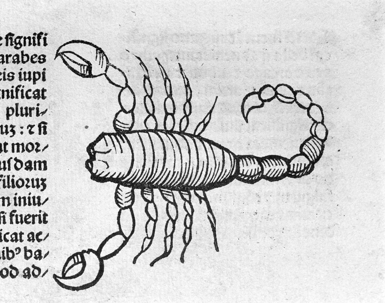 Le Scorpio – Johannes Angelo Értekezésében Az évek és forradalmaik nagy összefüggéseiről. Augsburg, Erhard Ratdolt alkotó: German School