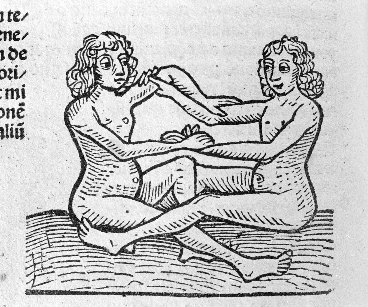 Les Gemini - a Traité de Johannes Angelo Az évek nagy összefüggéseiről és forradalmaikról. Augsburg, Erhard Ratdolt alkotó: German School