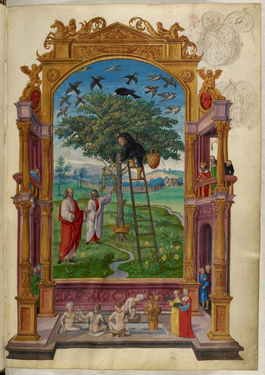 Ms Harley 3469, f.15 Aranyfa koronával, a másik példázat, Salomon Trismosin „Splendor Solis” című művéből alkotó: German School