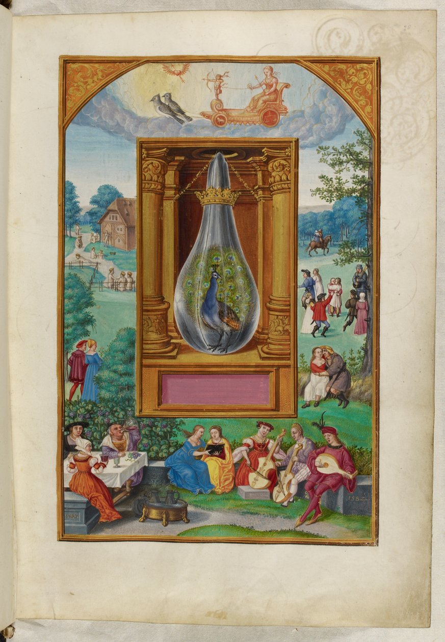Ms Harley 3469, f.28 The Peacock Tail, a negyedik traktátus, Salomon Trismosin „Splendor Solis” című művéből alkotó: German School