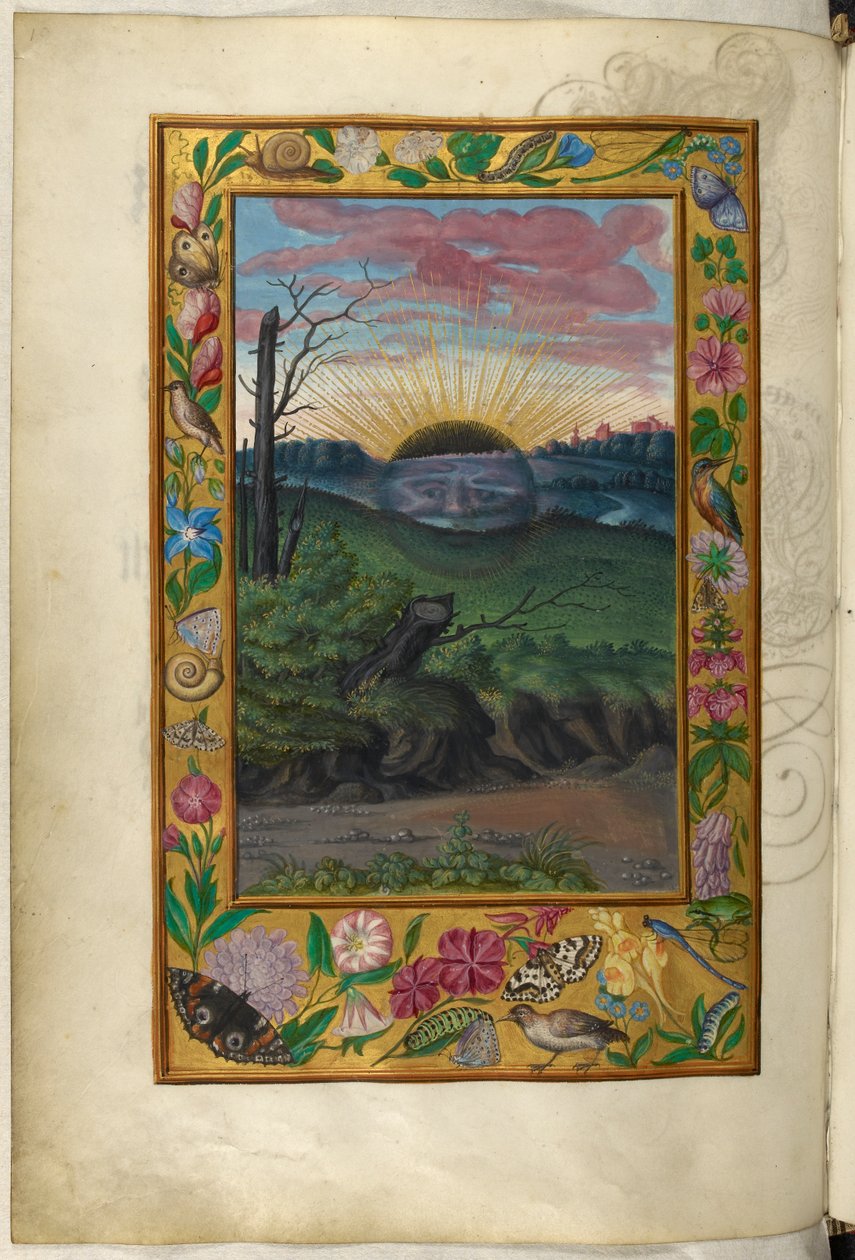 Ms Harley 3469, f.30v A sötét nap, az ötödik traktátus, Salomon Trismosin „Splendor Solis” című művéből alkotó: German School