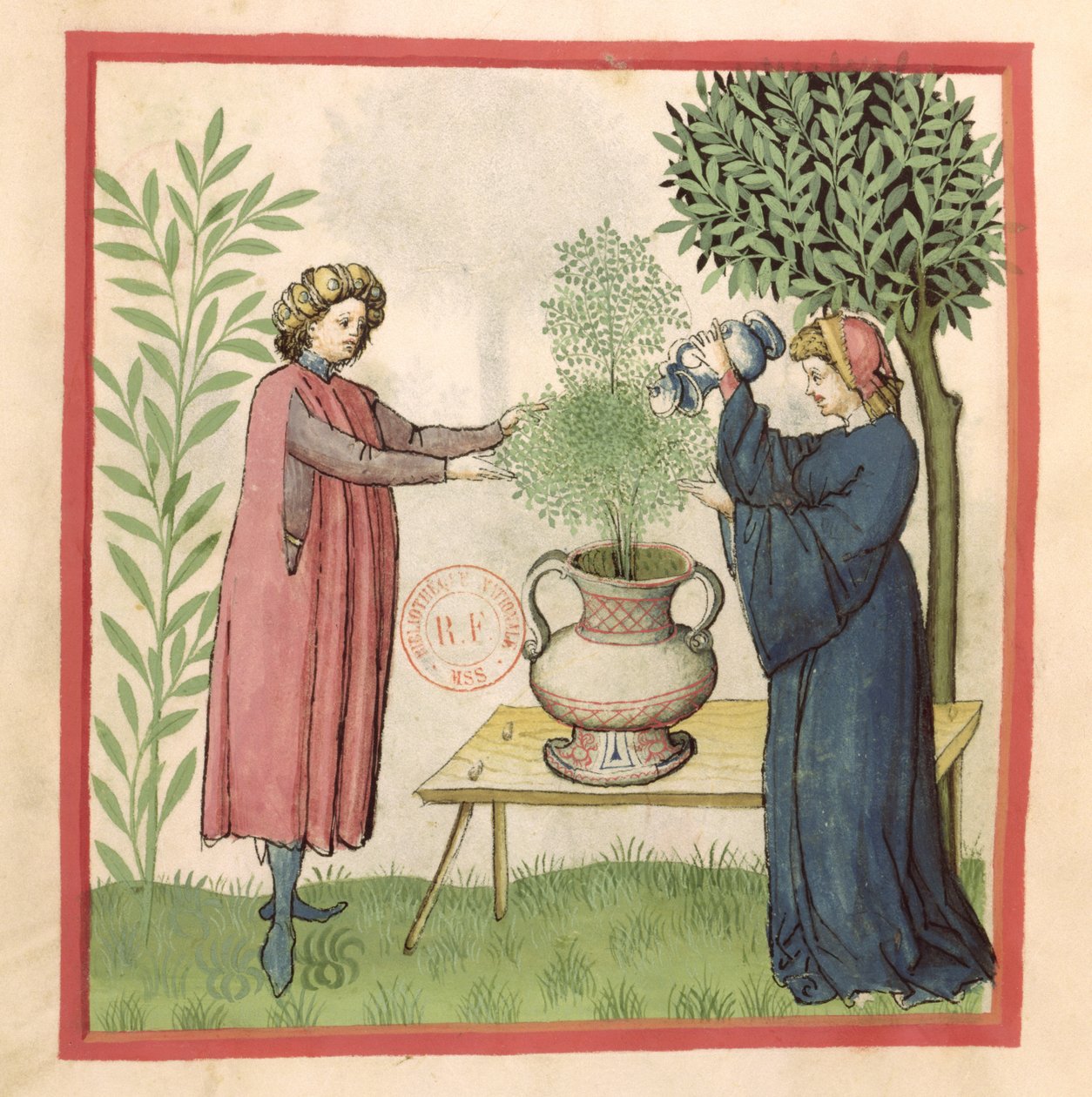 Ms Lat 9333 fol.30 majoránna, a Tacuinum Sanitatisból alkotó: German School