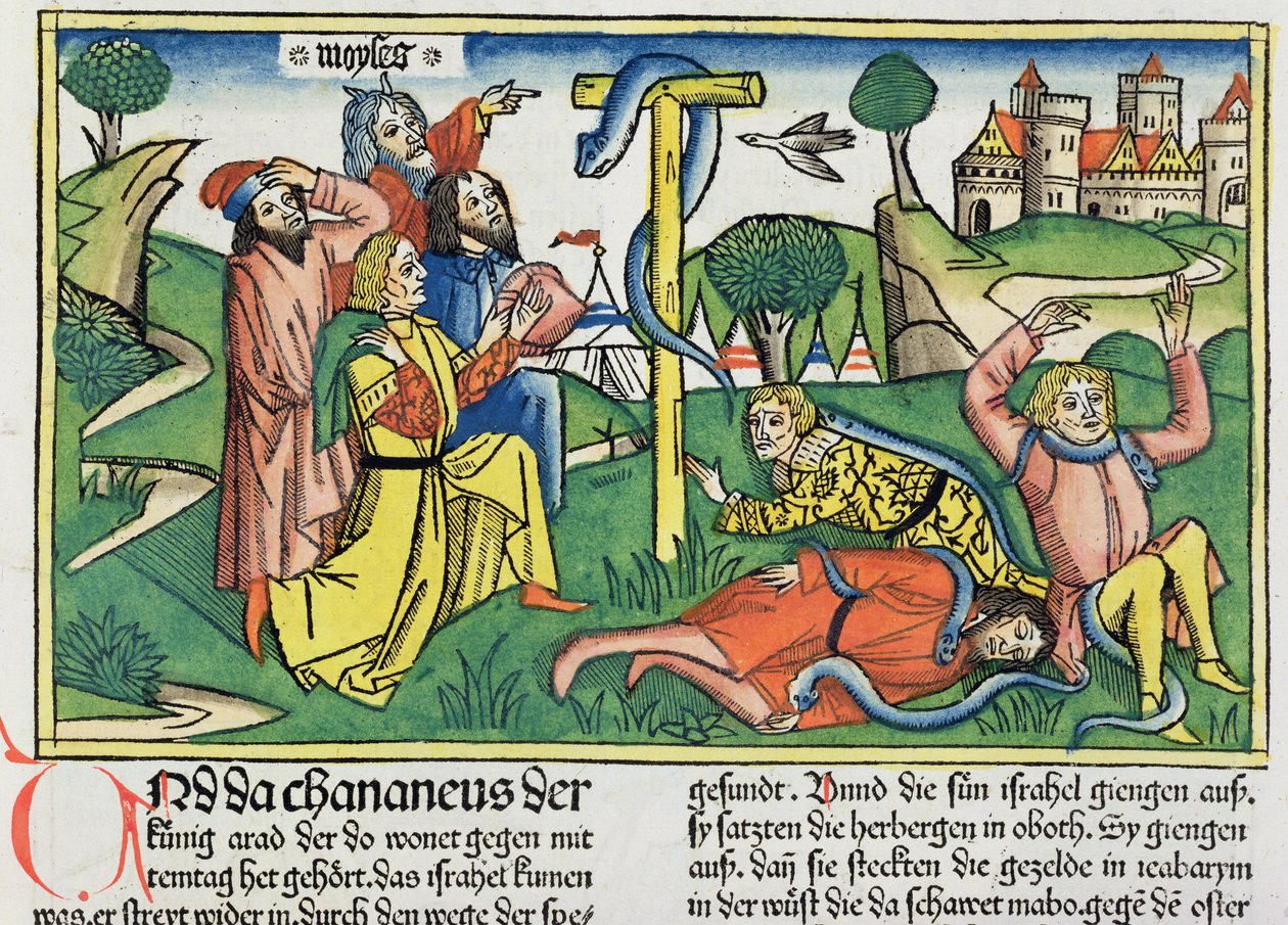 21. szám 4-9 Mérgező kígyók harapják meg a lázadó izraelitákat, a Nürnbergi Bibliából (Biblia Sacra Germanaica) (színes fametszet) alkotó: German School