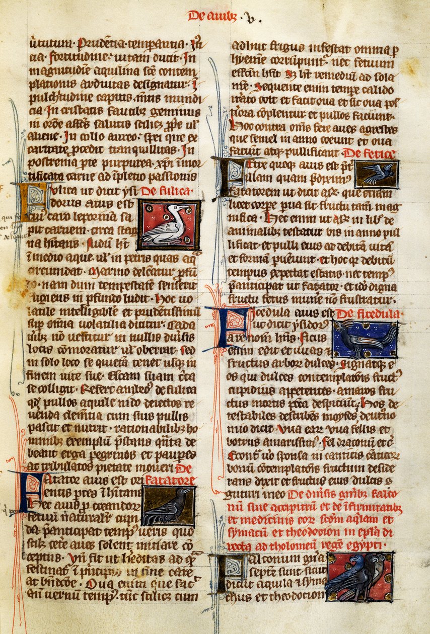 Oldal: Albertus Magnus (1200-1280 körül) A dolgok természete a madarakon alkotó: German School