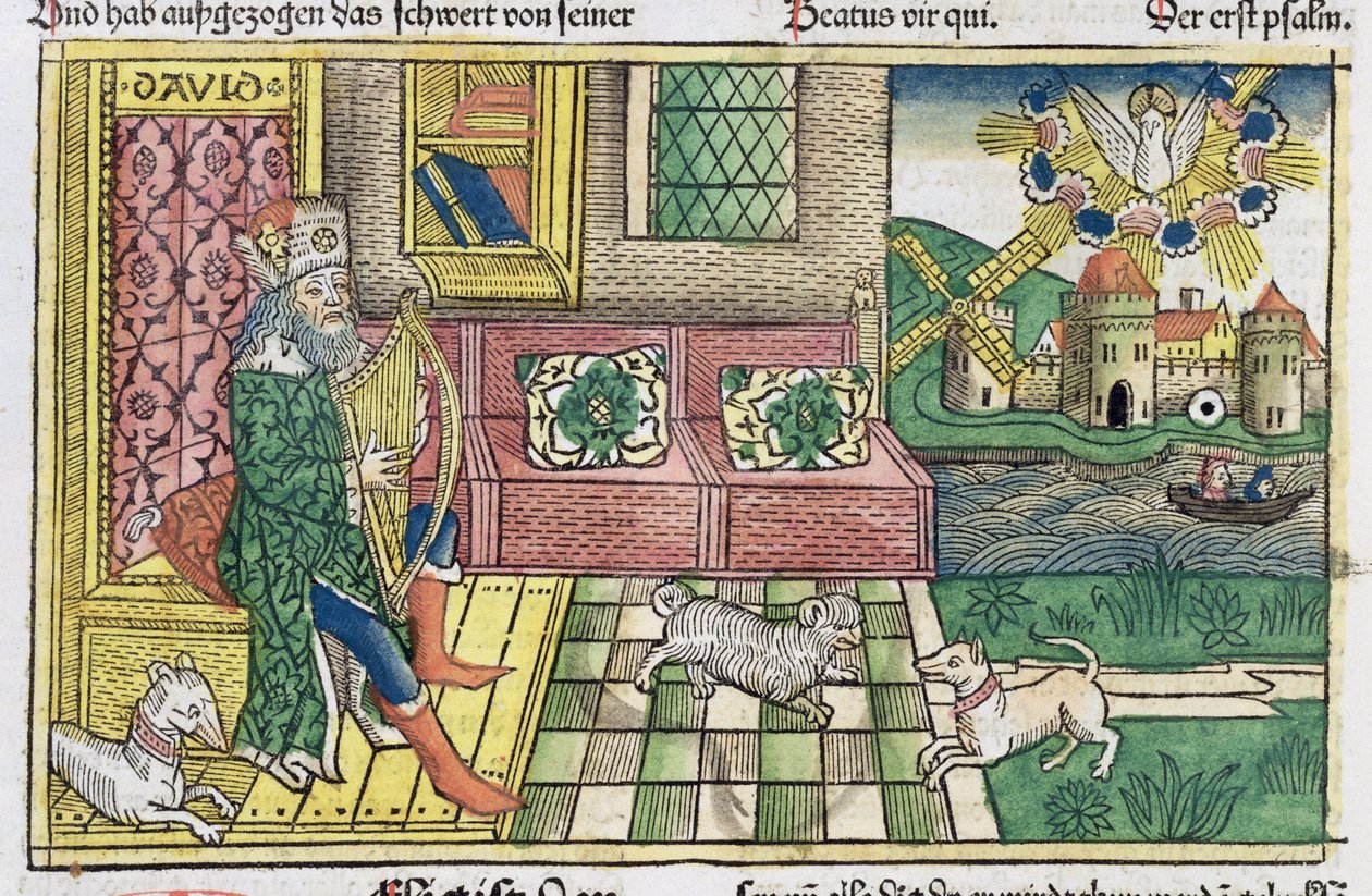 Zsoltárok: Dávid király lírán játszó előlapja, a Nürnbergi Bibliából (Biblia Sacra Germanaica) (színes fametszet) alkotó: German School