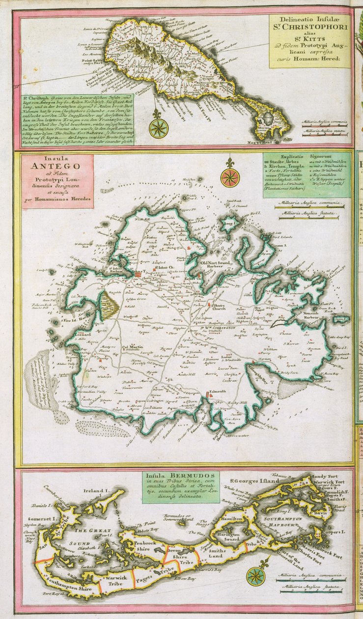 St. Kitts, Antigua és Bermuda, részlet a karibi angol gyarmatokról készült térképről, kocsma. Homann örökösei, Nürnburg, 1750 körül alkotó: German School
