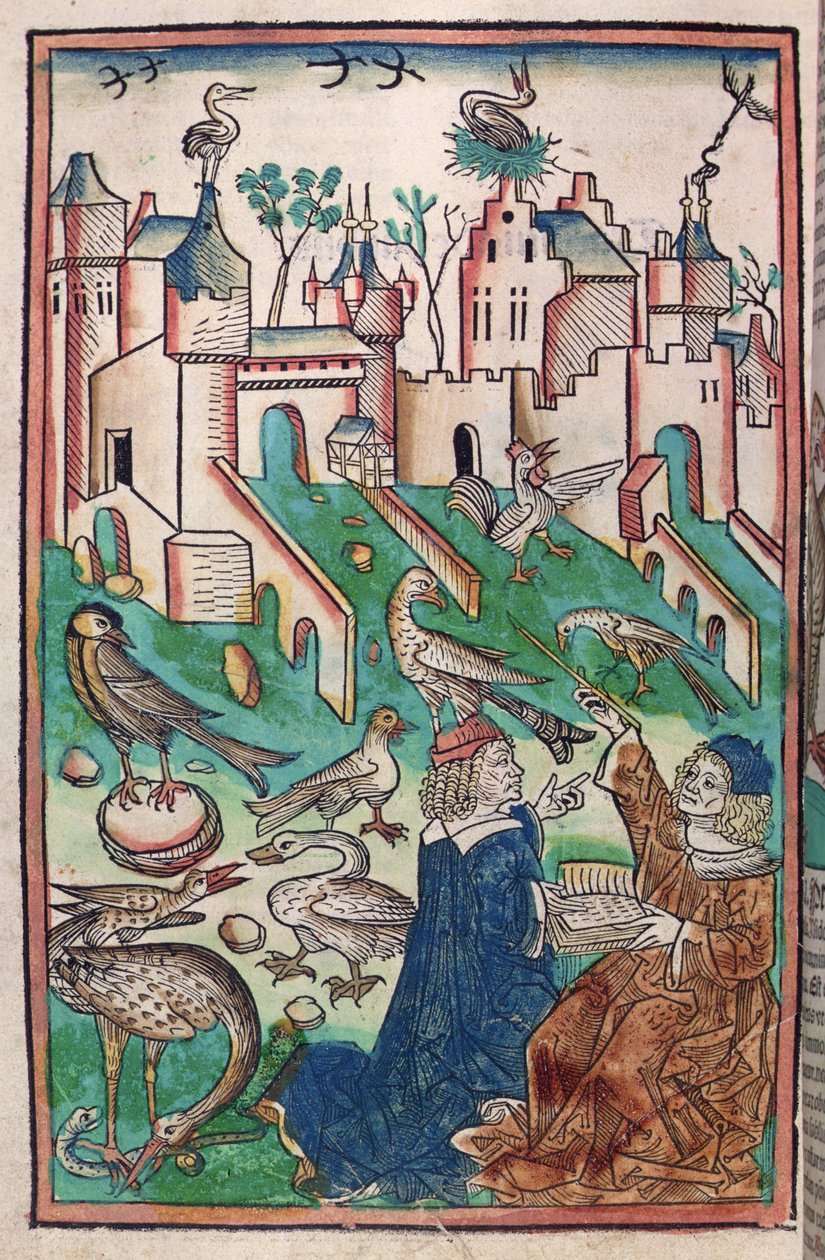 A madarak és a levegő teremtményei, illusztráció a "Hortus Sanitatis"-ból ("Az egészség kertje") 1491 (színes fametszet) alkotó: German School