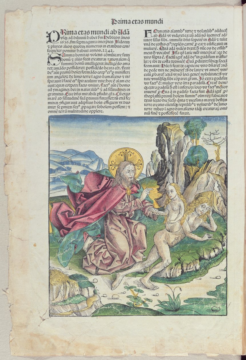 Éva születése, Hartmann Schedel (1440-1514) „Liber Chronicarum” című művéből, 1493 (színes fametszet) alkotó: German School