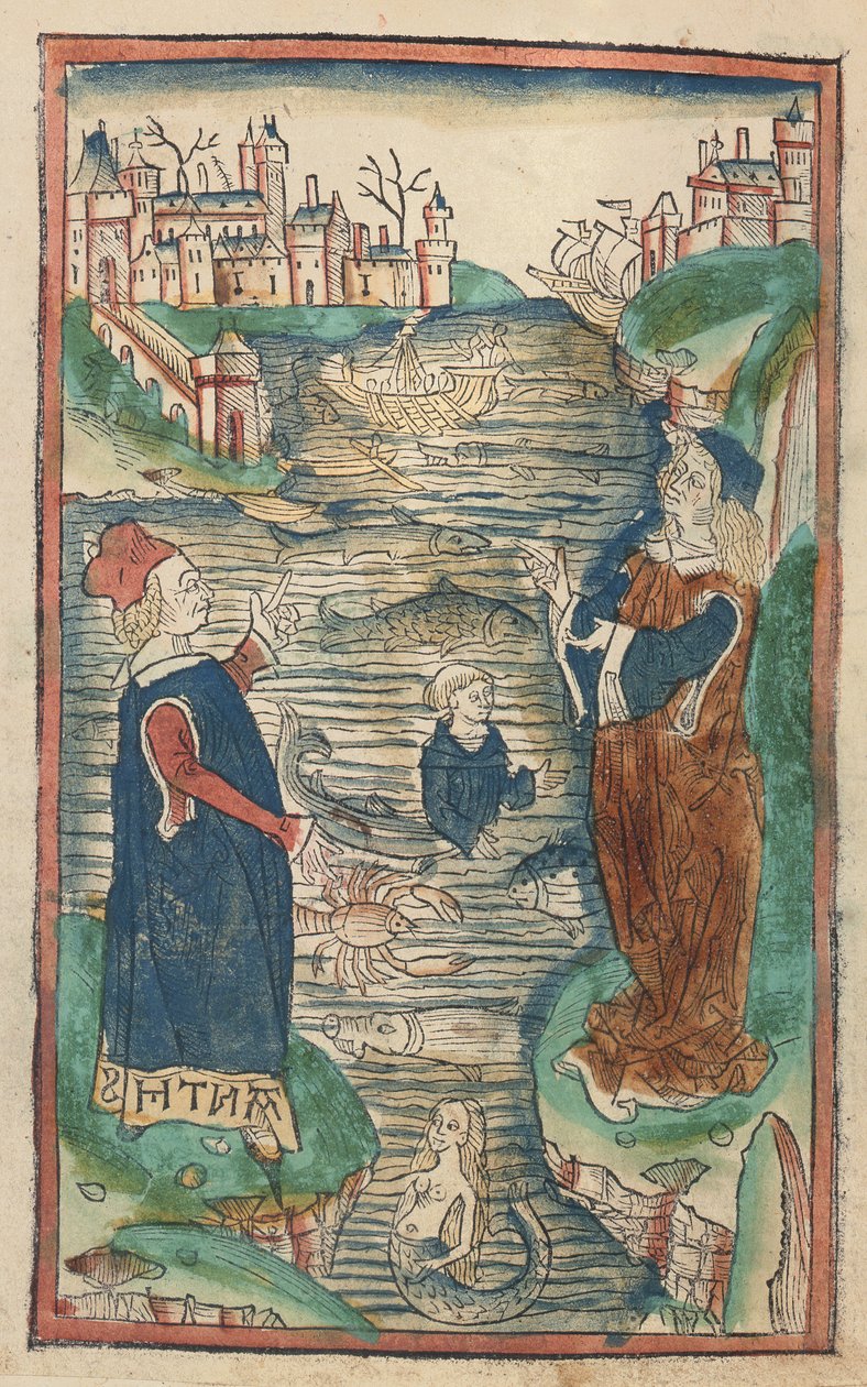 A halak királysága, illusztráció a Hortus Sanitatisből, 1491 (színes fametszet) alkotó: German School