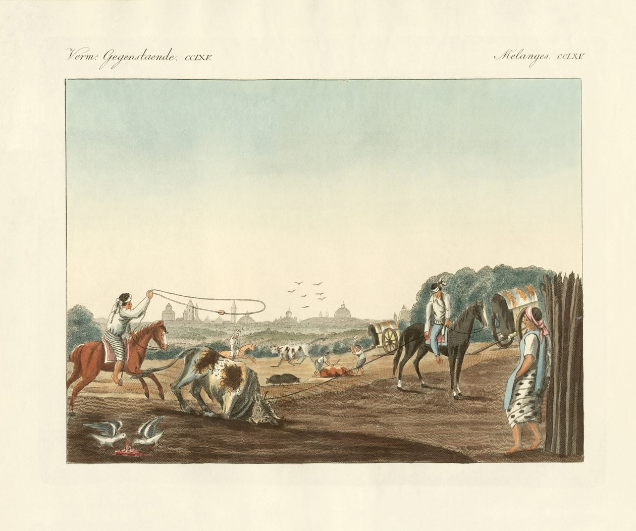 Matadero déli része, Buenos Aires egyik nyilvános vágóhídja (színes metszet) alkotó: German School