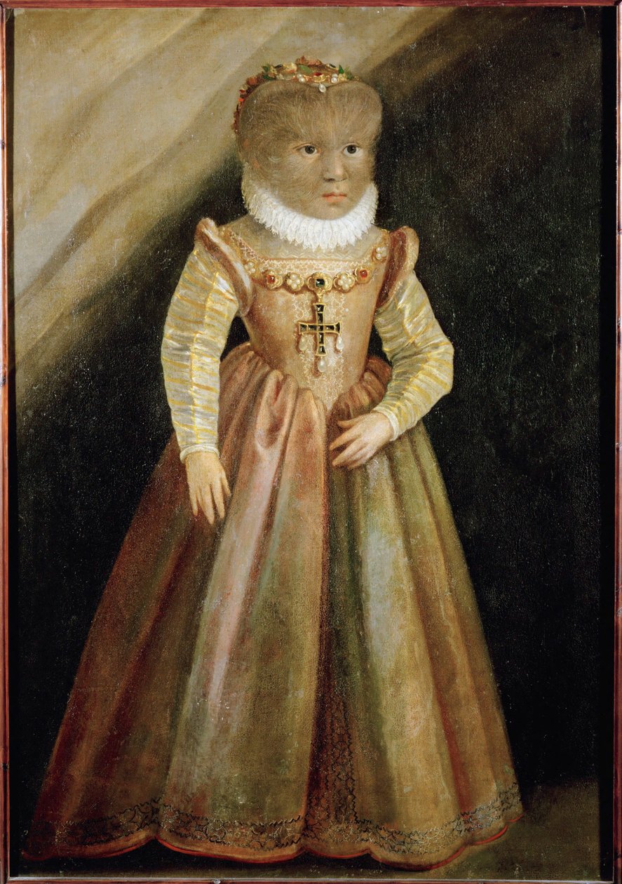 Petrus Gonzalvus, a teneriffai szőrös ember lánya ... alkotó: German School