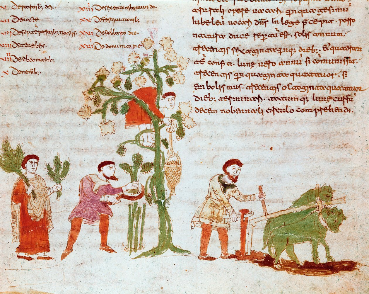 A négy évszak: szántás és szőlőszedés (szüret) színtere. Miniatűr a „” De Universo” (vagy De rerum naturis (A dolgok természetéről) (kód. 132)) kéziratából Rabanus Maurus Magnentius (vagy Raban Maur vagy Rabano Mauro) (kb. 780-856) 9. század alkotó: German School