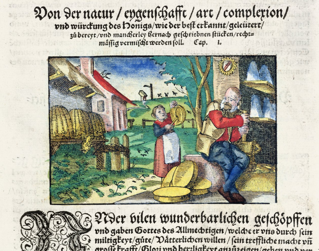 A méz gyógyító és terápiás felhasználása az orvostudományban, illusztráció egy német, 1573-ban Strasbourgban megjelent, gyógyszerekről szóló értekezésből (színes fametszet) alkotó: German School