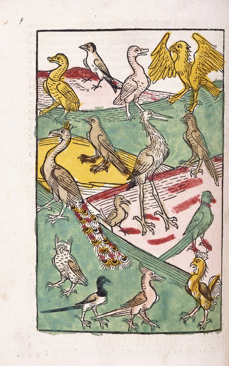 Különféle madárfajok egy tájban, 1499 alkotó: German School