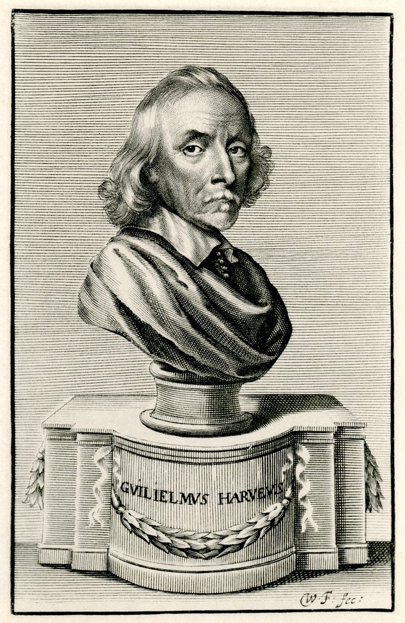 William Harvey alkotó: German School
