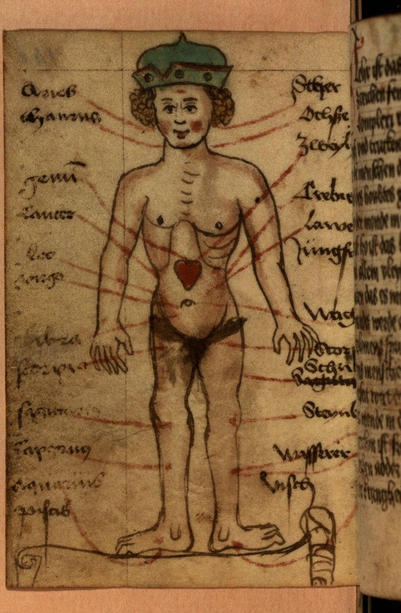Zodiákus diagram, amely a szív helyzetét mutatja, imák és asztrológiai figurák gyűjteményéből alkotó: German School