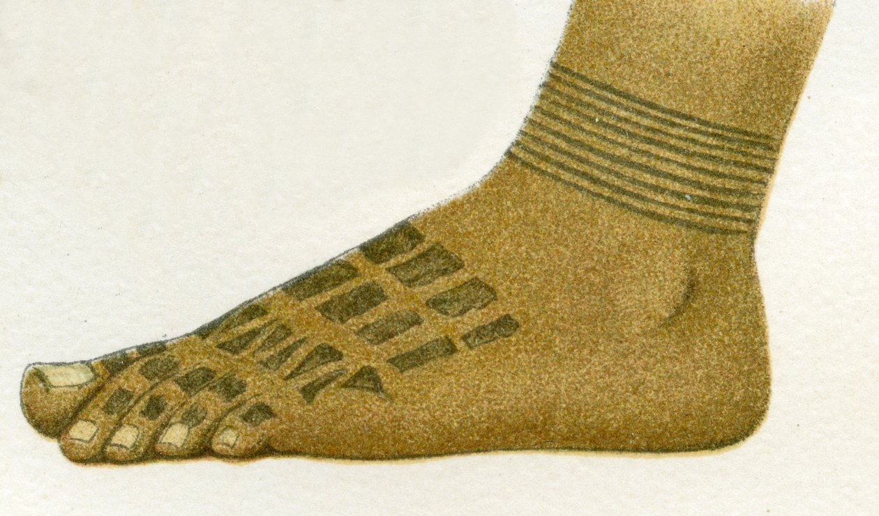 Példa Dayak láb tetoválás mintájára, Borneo, 1894 alkotó: German School