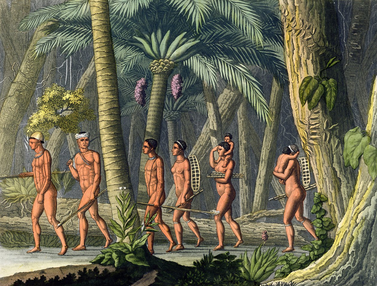 Native American Puri Tribesmen in their Forest, a „Le Costume Ancien et Moderne” I. kötet 46. lemezéből, Jules Ferrario, az 1820-as és 30-as évek körül megjelent (színes metszet) (lásd még: 177058) alkotó: Gerolamo Fumagalli