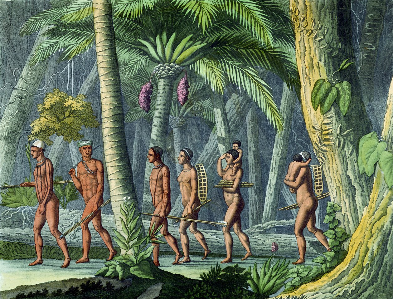 Puris in their Forest, Jules Ferrario „Le Costume Ancien et Moderne”-ból, 1820 körül megjelent (színes metszet) (lásd még: 116129) alkotó: Gerolamo Fumagalli